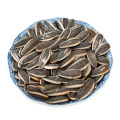 Exportar novas sementes de girassol chinesas de alta qualidade 363 para extração de óleo